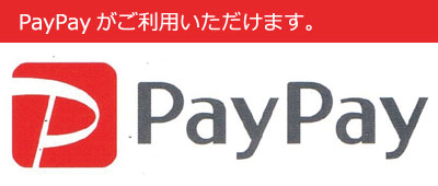 PayPay